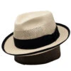 Stetson Whippet Panama Fedora -Bailey Store TSWIPTB1023 Bleach
